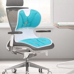 Begrenzte Zeit 50% RabattErgonomisches Lendenstützkissen für Bürostühle