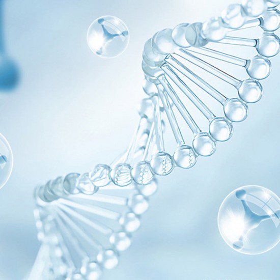 Neues UV-Toiletten-Sterilisationslampen-Set